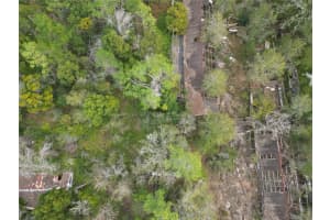 36242 COUNTY ROAD 439, EUSTIS, FL 32736 - MLS#MFRG5106691