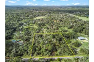 11398 CR 682, WEBSTER, FL 33597 - MLS#MFRG5106705