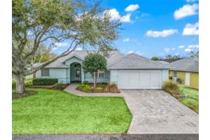 11014 174TH LOOP, SUMMERFIELD, FL 34491 - MLS#MFRG5106708