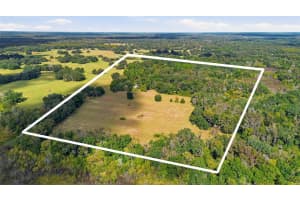 5505 CR 634S, BUSHNELL, FL 33513 - MLS#MFRG5106728