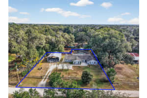 14165 26TH TERRACE, SUMMERFIELD, FL 34491 - MLS#MFRG5106730