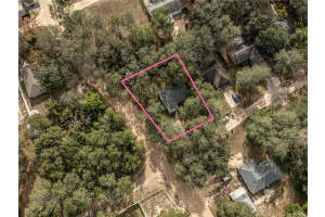 4438 CALAMONDIN STREET, LADY LAKE, FL 32159 - MLS#MFRG5106731