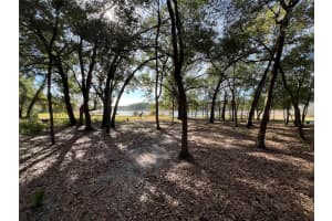 36338 SPRING LAKE BOULEVARD, FRUITLAND PARK, FL 34731 - MLS#MFRG5106740