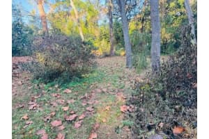 4547 CR 692, WEBSTER, FL 33597 - MLS#MFRG5106761