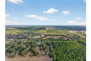 34934 THRILL HILL ROAD, EUSTIS, FL 32736 - MLS#MFRG5106776