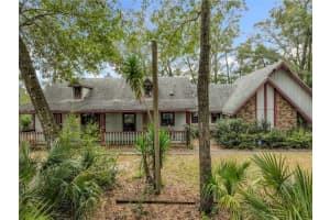 30845 DEAL DRIVE, SORRENTO, FL 32776 - MLS#MFRG5106827