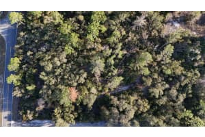 42475 ROYAL TRAILS ROAD, EUSTIS, FL 32726 Sold 02/14/26