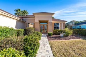 9153 137TH STREET ROAD, SUMMERFIELD, FL 34491 - MLS#MFRG5106921