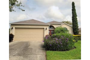 319 GRAND ROYAL CIRCLE, WINTER GARDEN, FL 34787 - MLS#MFRG5106960