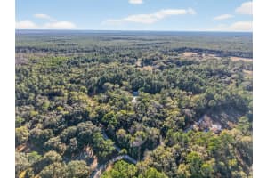 2110 WARRENSFORD ROAD, PIERSON, FL 32180 - MLS#MFRG5107088