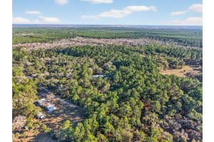 2110 WARRENSFORD ROAD, PIERSON, FL 32180 - MLS#MFRG5107088