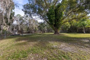 11807 OCKLAWAHA DRIVE, LEESBURG, FL 34788 - MLS#MFRG5107143