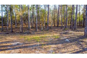 0 STATE ROAD 33, CLERMONT, FL 34714 - MLS#MFRG5107149