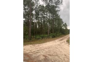 OIL WELL RD, CLERMONT, FL 34714 - MLS#MFRG5107164