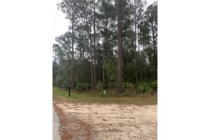 OIL WELL RD, CLERMONT, FL 34714 - MLS#MFRG5107164