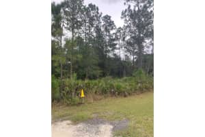 OIL WELL RD, CLERMONT, FL 34714 - MLS#MFRG5107164