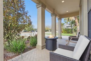 8816 SHADY PAVILLION COURT, LAND O LAKES, FL 34637 - MLS#MFRG5107201