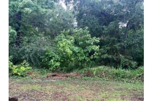 SHARON ST, BROOKSVILLE, FL 34601 - MLS#MFRG5107291