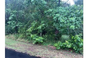 SHARON ST, BROOKSVILLE, FL 34601 - MLS#MFRG5107291