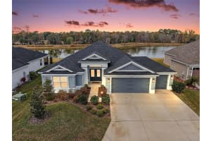 4138 BURGESS DRIVE, THE VILLAGES, FL 32163 - MLS#MFRG5107349