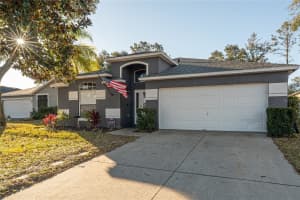 1038 Singleton Cir, GROVELAND 1038 Singleton Cir, GROVELAND