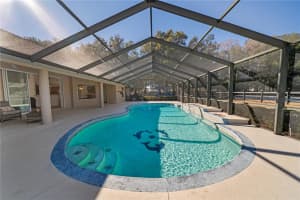 15995 10TH CIRCLE, CITRA, FL 32113 - MLS#MFRG5107400