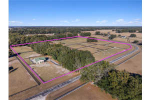 15995 10TH CIRCLE, CITRA, FL 32113 - MLS#MFRG5107400