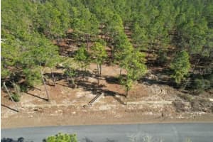 SW OBEE RIDGE RD, DUNNELLON, FL 34431 - MLS#MFRG5107529