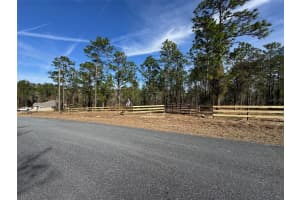 SW OBEE RIDGE RD, DUNNELLON, FL 34431 - MLS#MFRG5107529