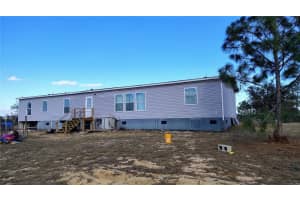 15971 SE 108TH LOOP, OCKLAWAHA, FL 32179 - MLS#MFRG5107565