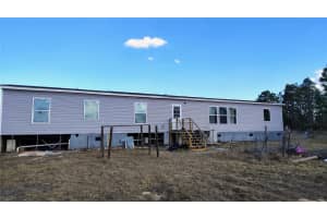 15971 SE 108TH LOOP, OCKLAWAHA, FL 32179 - MLS#MFRG5107565