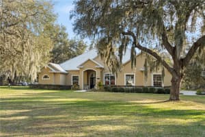 3108 CARTER JONES ROAD, GROVELAND, FL 34736 - MLS#MFRG5107576