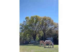 14016 N. HWY 301, THONOTOSASSA, FL 33592 - MLS#MFRG5107594