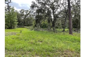 1451 MARKER ROAD, POLK CITY, FL 33868 - MLS#MFRG5107737