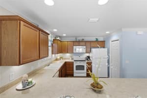 1971 ODEUM STREET, THE VILLAGES, FL 32162 - MLS#MFRG5107756