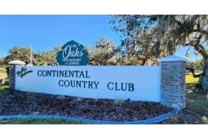 805 OAK BOULEVARD, WILDWOOD, FL 34785 - MLS#MFRG5107758