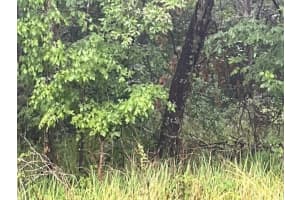 SHARON ST, BROOKSVILLE, FL 34601 - MLS#MFRG5107759