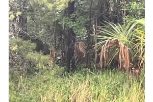 SHARON ST, BROOKSVILLE, FL 34601 - MLS#MFRG5107759