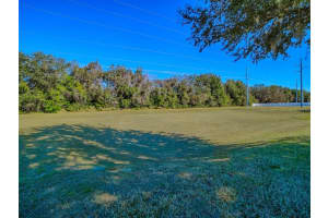 33122 MEADOW SIDE COURT, LEESBURG, FL 34748 - MLS#MFRG5107768