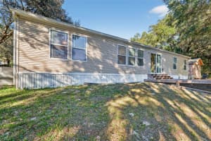 29714 SE HIGHWAY 42, UMATILLA, FL 32784 - MLS#MFRG5107771