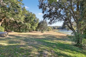 29714 SE HIGHWAY 42, UMATILLA, FL 32784 - MLS#MFRG5107771