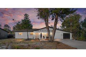 507 BATES AVENUE, EUSTIS, FL 32726 - MLS#MFRG5107831