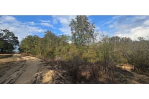 SE 252ND AVE, UMATILLA, FL 32784 - MLS#MFRG5107873