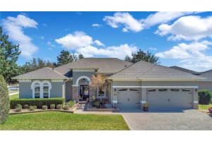228 CHARDONNAY LANE, GROVELAND, FL 34736 - MLS#MFRG5107878