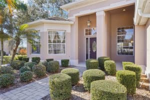 6114 TREMAYNE DRIVE, MOUNT DORA, FL 32757 - MLS#MFRG5107905