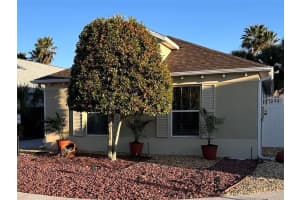 1204 FLAMINGO, THE VILLAGES, FL 32162 - MLS#MFRG5107907