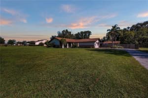 10311 COUNTY ROAD 117, OXFORD, FL 34484 - MLS#MFRG5107919