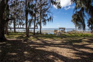 31035 COVE ROAD, TAVARES, FL 32778 - MLS#MFRG5107953