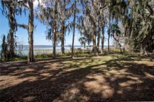 31035 COVE ROAD, TAVARES, FL 32778 - MLS#MFRG5107953