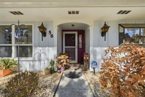 58 TOWNHILL DRIVE, EUSTIS, FL 32726 - MLS#MFRG5107962